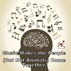 Music Makes the People (But Not Animals) Come Together