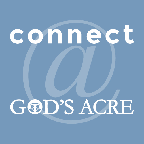 ”Where Good News Begins” December 10, 2017 The Rev. Eric M. Dupee