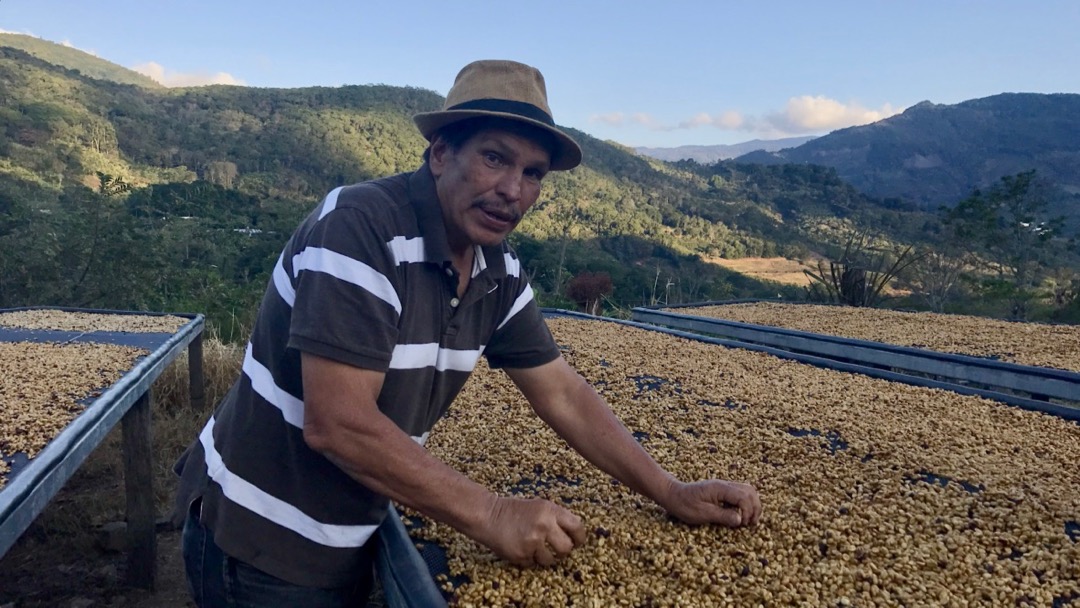 Episode 489 on Monday the 26th of March, 2018. Costa Rica Finca La Pira Red Honey Caturra