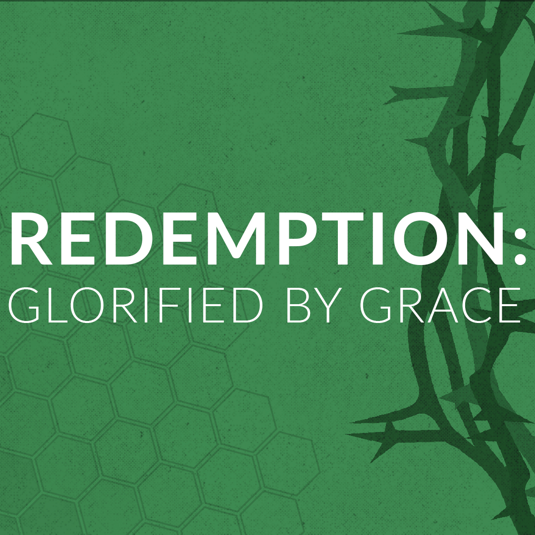 Redemption: He Will Come Down Again