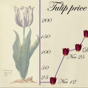 Tulpenhandel, ’futures from the past’