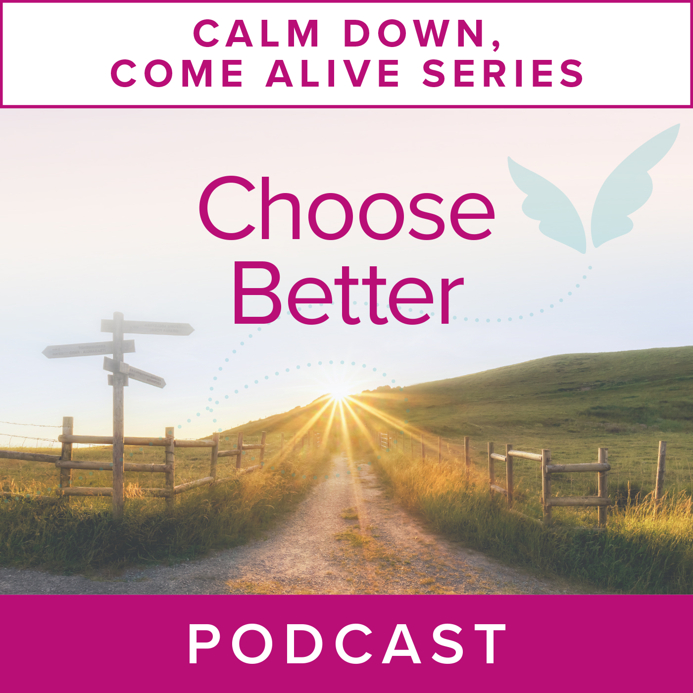 Calm Down, Come Alive Series: Choose Better