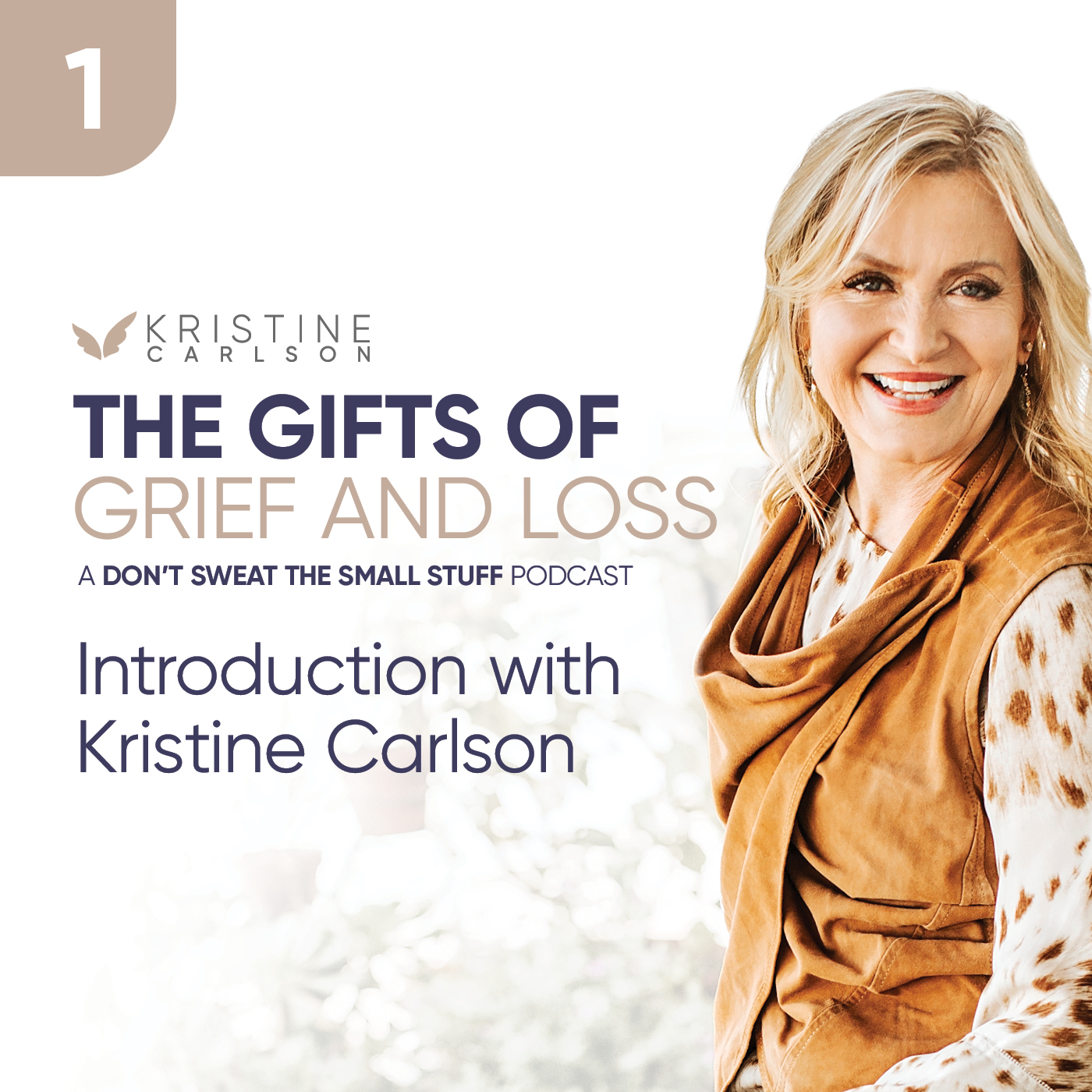 Introducing The Gifts of Loss and Grief Series with Kristine Carlson