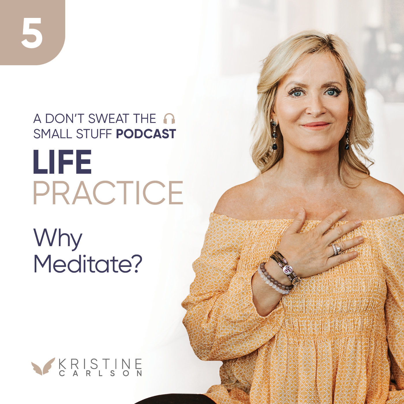 Life Practice Series: Why Meditate?