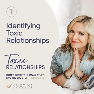 Toxic Relationship Series:  Identifying A Toxic Relationship