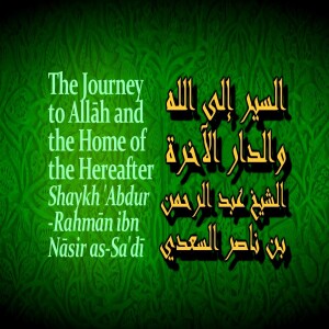 007 The Journey To Allah And The Hereafter Poem | Lines 16-18 | Final | Nedal Ayoubi