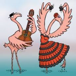 Flamingo Flamenco Lounge