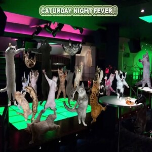Afternoon Dance Party on Hot Sauce Lounge