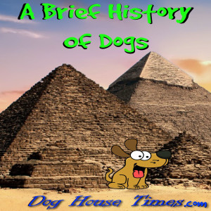 Dog History With Human Civilization