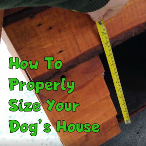 How To Properly Size A Dog House