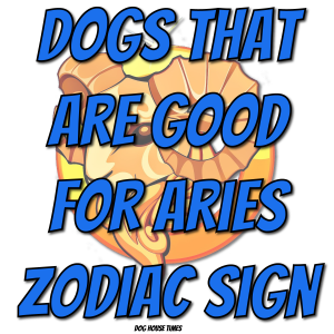 Dogs That Are Good For The Aries Zodiac Sign