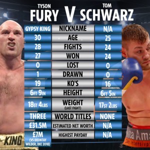 Fury vs. Schwarz Conference Call