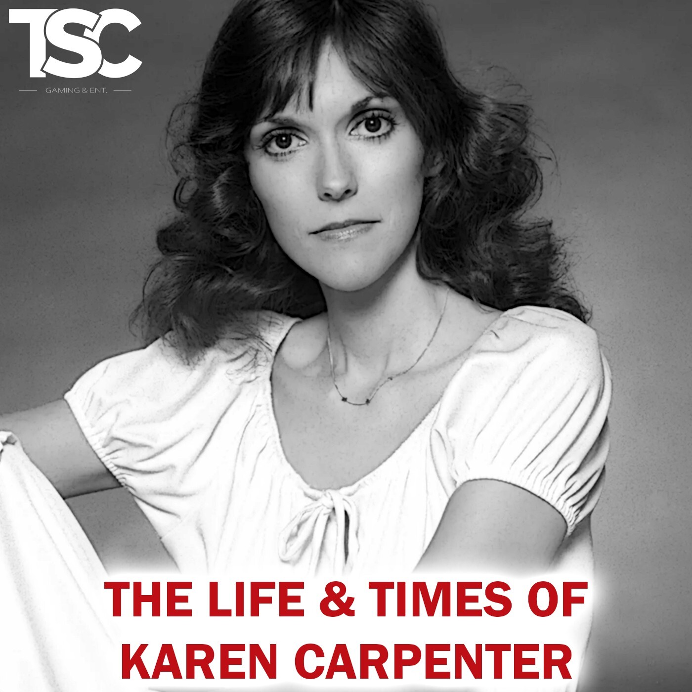 TSC Gaming and Entertainment