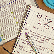 40 Days in the Word - The Search for Meaning