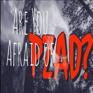 Are You Afraid of PZ85 After Dark? 10-25-18