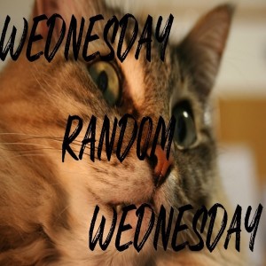 Wednesday Random Wednesday