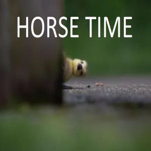 HORSE TIME - Horse Ride From Hell