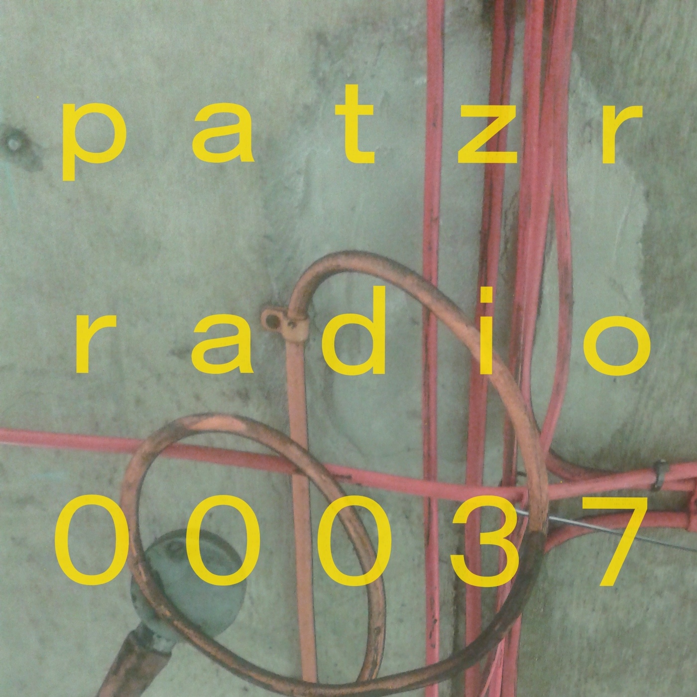 ｐａｔｚｒ ｒａｄｉｏ ｔｈｉｒｔｙ－ｓｅｖｅｎ - 8 kusd a month