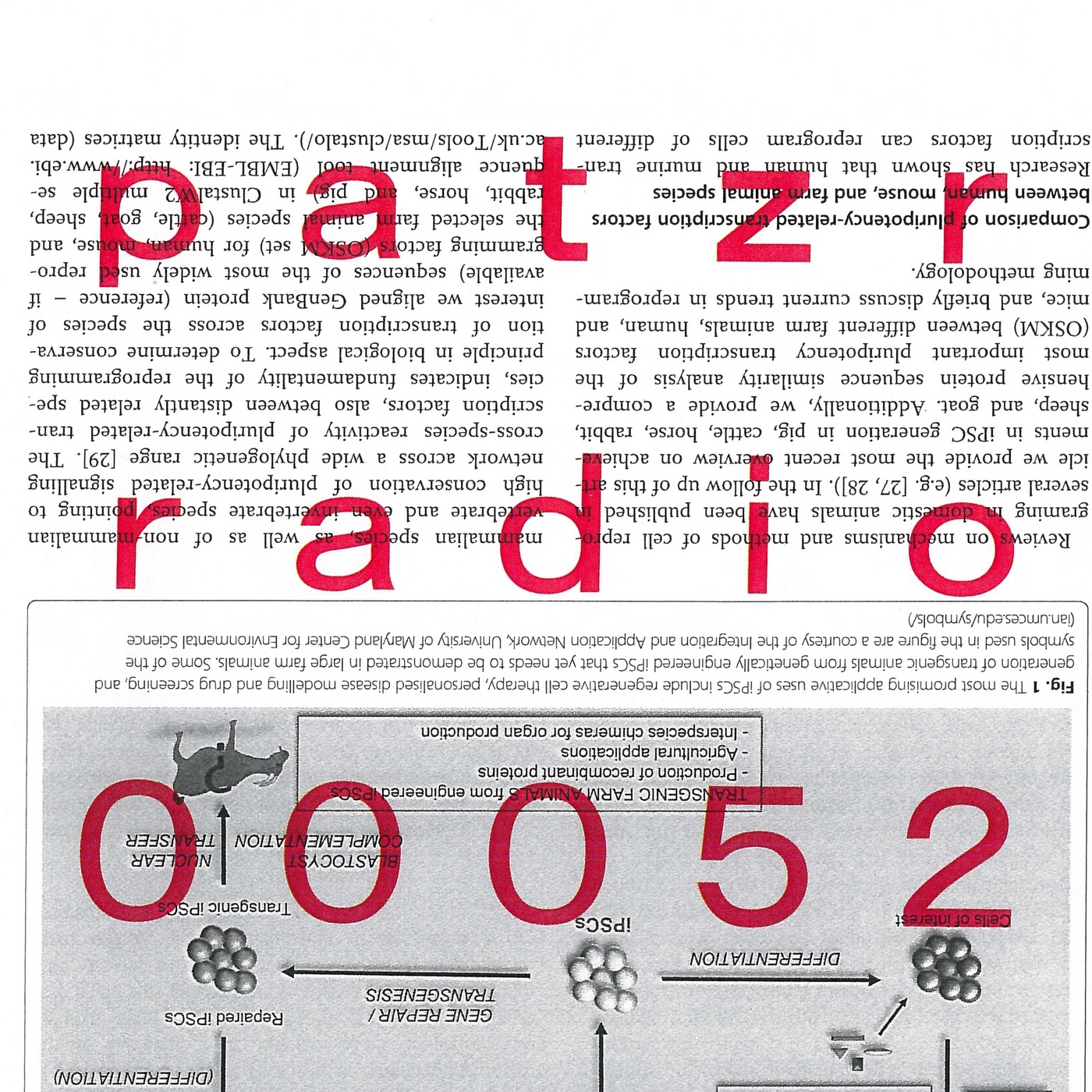 ｐａｔｚｒ ｒａｄｉｏ ｆｉｆｔｙ－ｔｗｏ - untitled [Wetherspoons, skateboarders, traffic management systems]