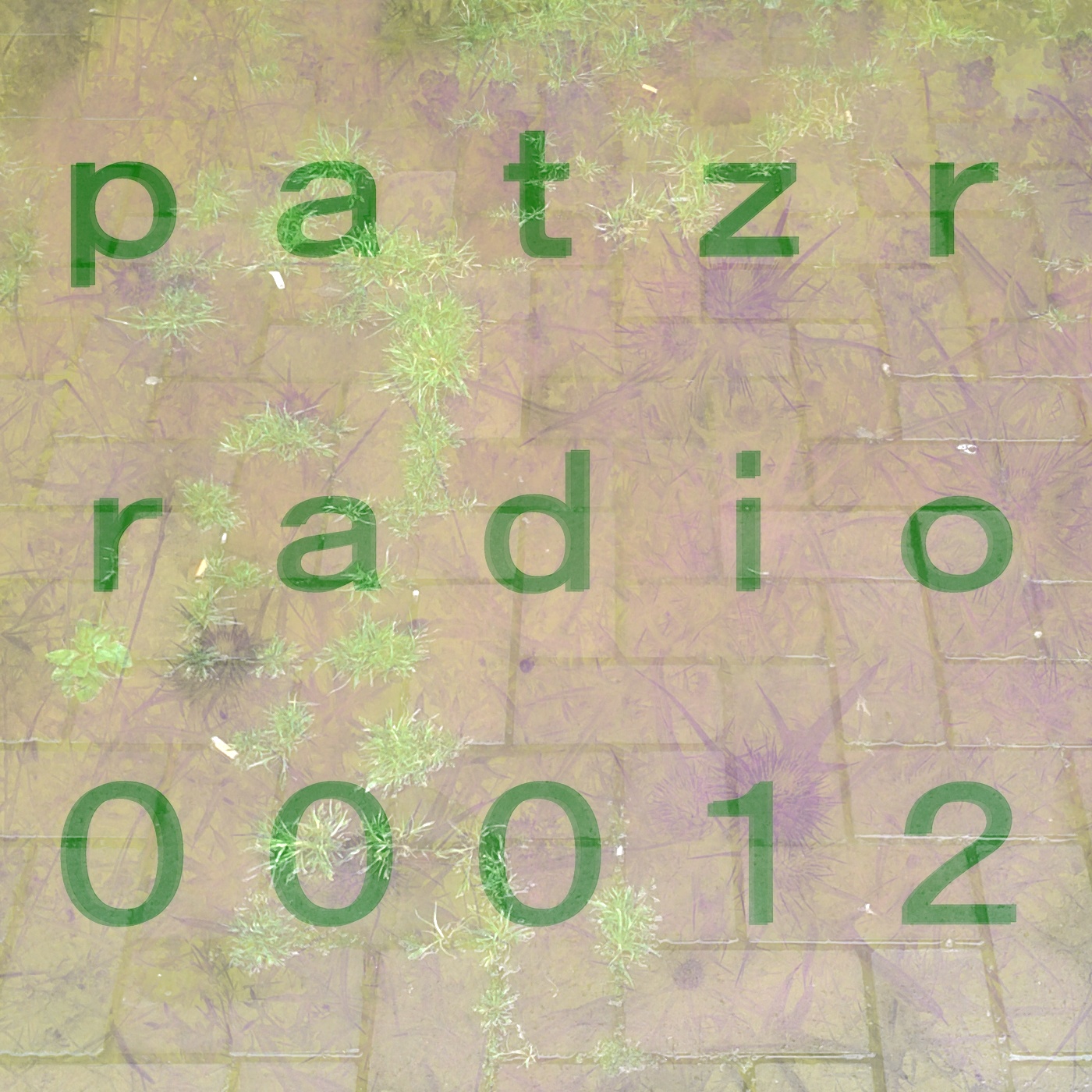 ｐａｔｚｒ ｒａｄｉｏ ｔｗｅｌｖｅ - Grab the latest phone