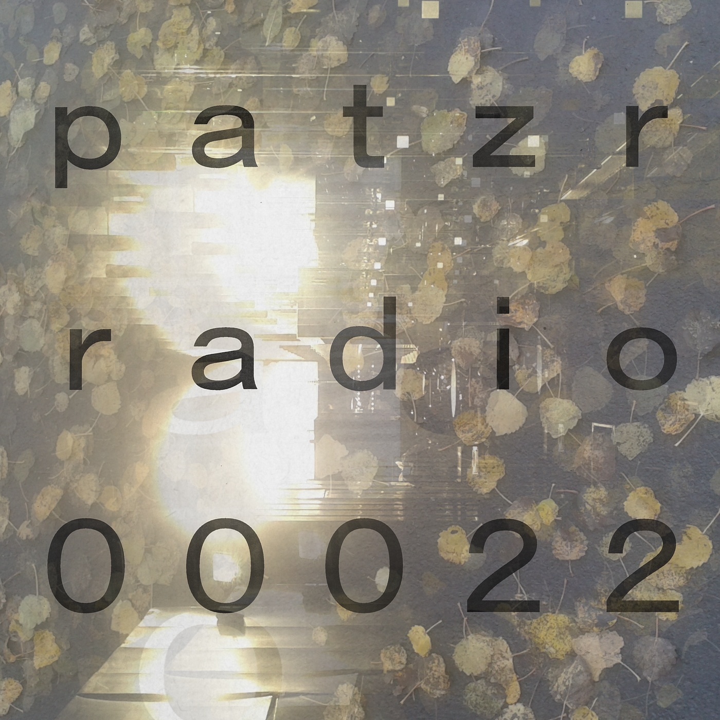 ｐａｔｚｒ ｒａｄｉｏ ｔｗｅｎｔｙ－ ｔｗｏ - financial management tool