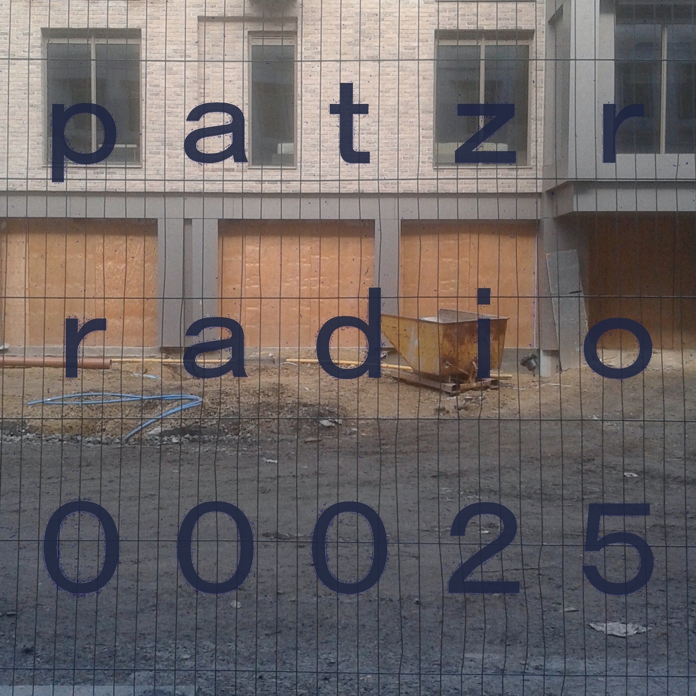 ｐａｔｚｒ ｒａｄｉｏ ｔｗｅｎｔｙ－ｆｉｖｅ - untitled [birds in a hedge, traffic]