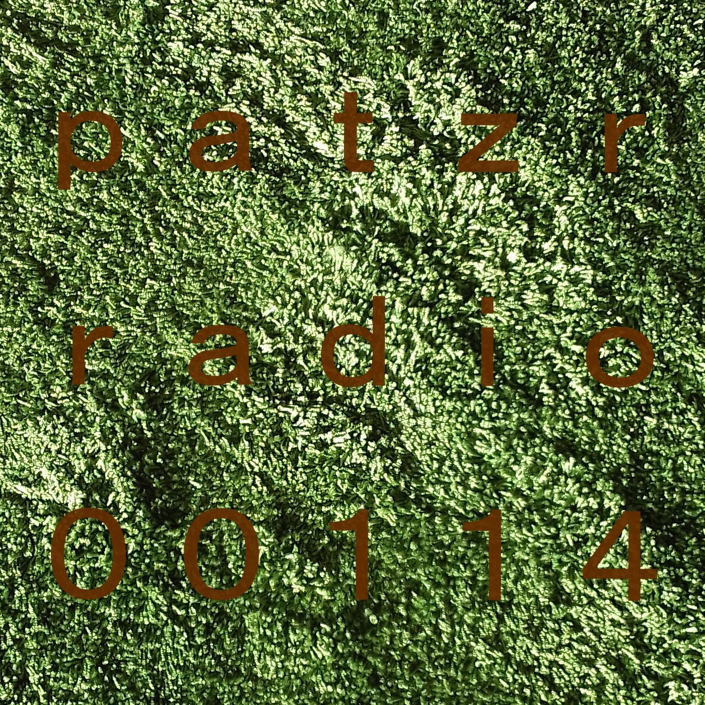 ｐａｔｚｒ ｒａｄｉｏ ｏｎｅ ｈｕｎｄｒｅｄ ａｎｄ ｆｏｕｒｔｅｅｎ - (QNNAS