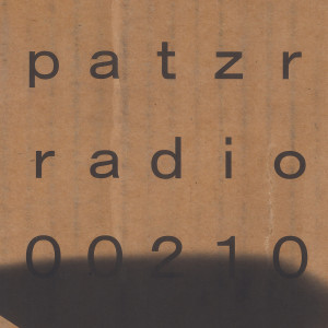 ｐａｔｚｒ ｒａｄｉｏ ｔｗｏ ｈｕｎｄｒｅｄ ａｎｄ ｔｅｎ - THIS SIGN HAS NO SCRAP VALUE