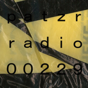 ｐａｔｚｒ ｒａｄｉｏ ｔｗｏ ｈｕｎｄｒｅｄ ａｎｄ ｔｗｅｎｔｙ－ｎｉｎｅ - and Palaaka!