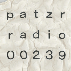 ｐａｔｚｒ ｒａｄｉｏ ｔｗｏ ｈｕｎｄｒｅｄ ａｎｄ ｔｈｉｒｔｙ－ｎｉｎｅ - untitled [malfunctioning strip light, 170720]