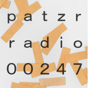 ｐａｔｚｒ ｒａｄｉｏ ｔｗｏ ｈｕｎｄｒｅｄ ａｎｄ ｆｏｒｔｙ－ｓｅｖｅｎ - untitled [backyard, pigeons 050620]