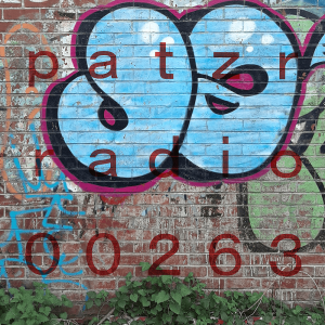 ｐａｔｚｒ ｒａｄｉｏ ｔｗｏ ｈｕｎｄｒｅｄ ａｎｄ ｓｉｘｔｙ－ｔｈｒｅｅ - untitled [rain, Northumberland Park 140921 ~2030]