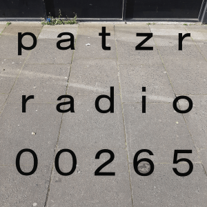 ｐａｔｚｒ ｒａｄｉｏ ｔｗｏ ｈｕｎｄｒｅｄ ａｎｄ ｓｉｘｔｙ－ｆｉｖｅ - untitled [rain, backyard 040721]