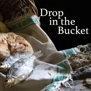 Drop In The Bucket