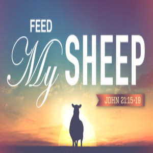 IF YOU LOVE ME, FEED MY SHEEP: Called Out, pt. 6