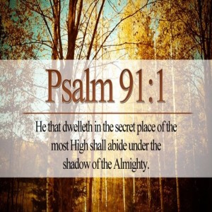 UNDER THE SHELTER OF THE ALMIGHTY: A Different Perspective on Psalm 91, by Brent Denney
