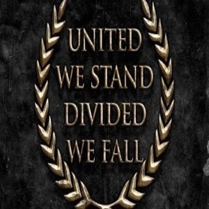 UNITED WE STAND, DIVIDED WE FALL