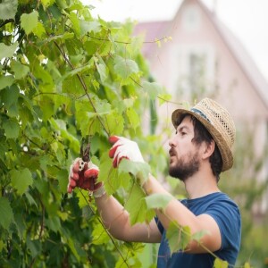 NEXT-LEVEL MATURITY: Abounding Fruitfulness, pt. 11