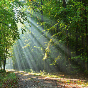 A MORE EXCELLENT WAY: Abounding Fruitfulness, pt. 2
