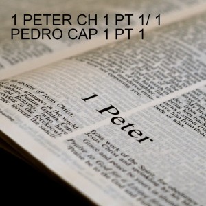 1 PETER CH 1 PT 5/ 1 PEDRO CAP 1 PT 5