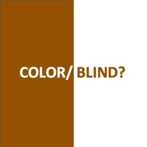 COLOR/BLIND? Anita Sugimura Holsapple
