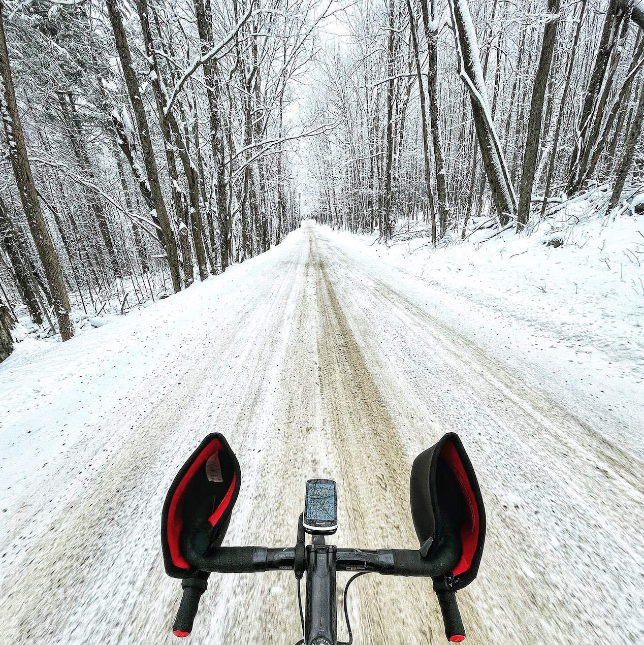 King of the Ride