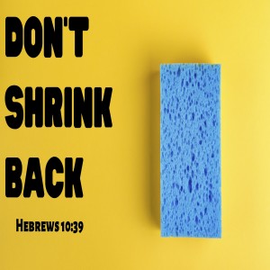 Don't Shrink Back