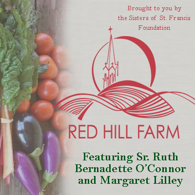 Red Hill Farm