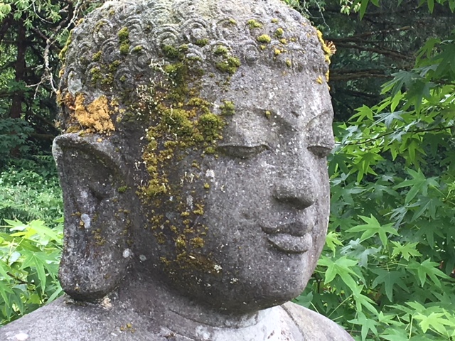 Tissa and The Buddha thumbnail