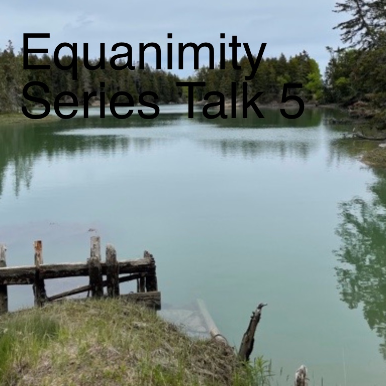 Equanimity Series Talk 5 thumbnail
