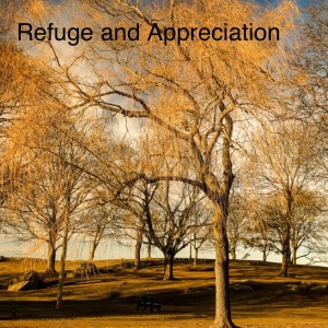 Refuge and Appreciation