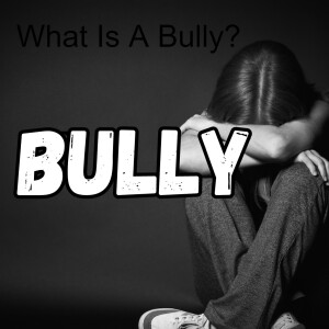 What Is A Bully?