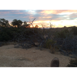 On A Hilltop