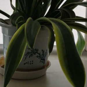 test_20200925_12